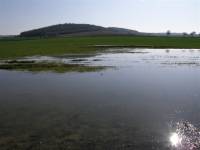 Zaplavené pole u Střížovic