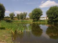 Jedna z možných typických lokalit Jedna z možných typických lokalit