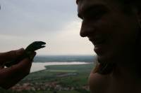 Další dospělý jedinec Další dospělý jedinec