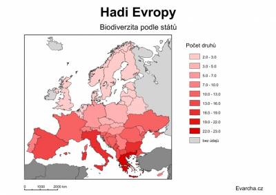 Diverzita evropských hadů podle států